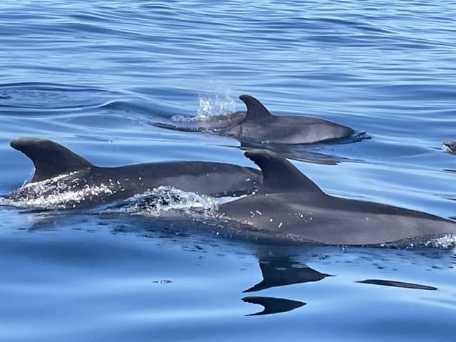 Photo par CHRISTELLE T. (17/09/25)