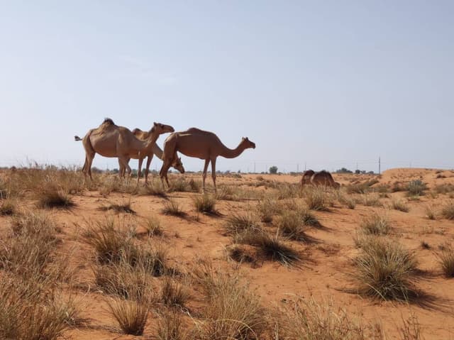 Foto von Heiko G. (26.5.23)