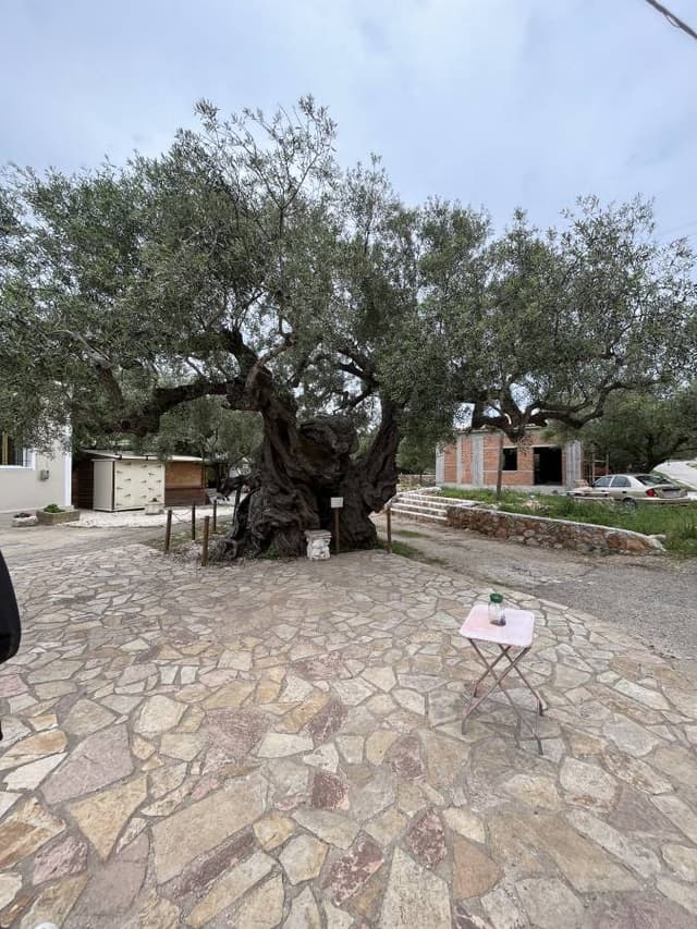 Foto door David C. over het huren van een Seat Mii in Zakynthos (14-5-23)