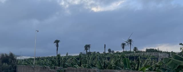 Foto 2 de Oziel S. (15/11/22)