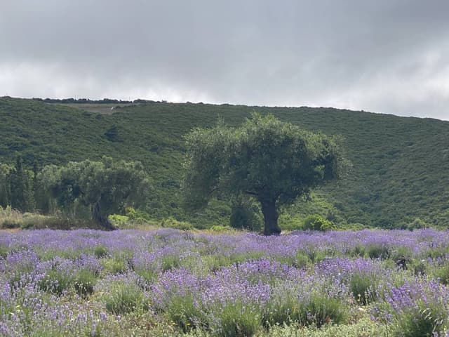 Foto 2 van Robert H. (25-6-23)