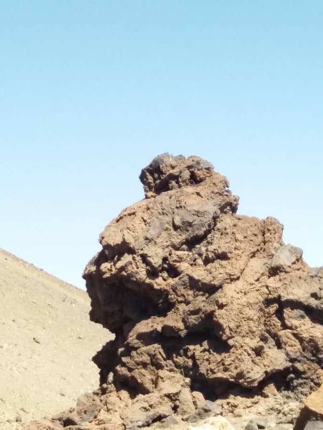 Fotografia 5 realizată de IOAN-RADU P. (30.07.22)