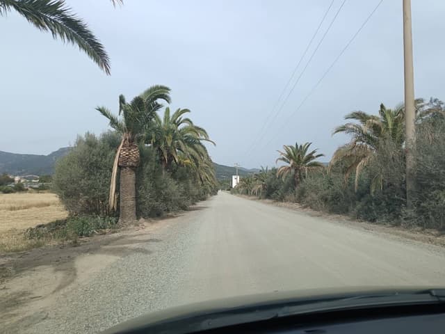 Katalin R. 1. számú fényképe a(z) Peugeot 108 autó bérléséről itt: Cagliariban (24. 05. 18.)