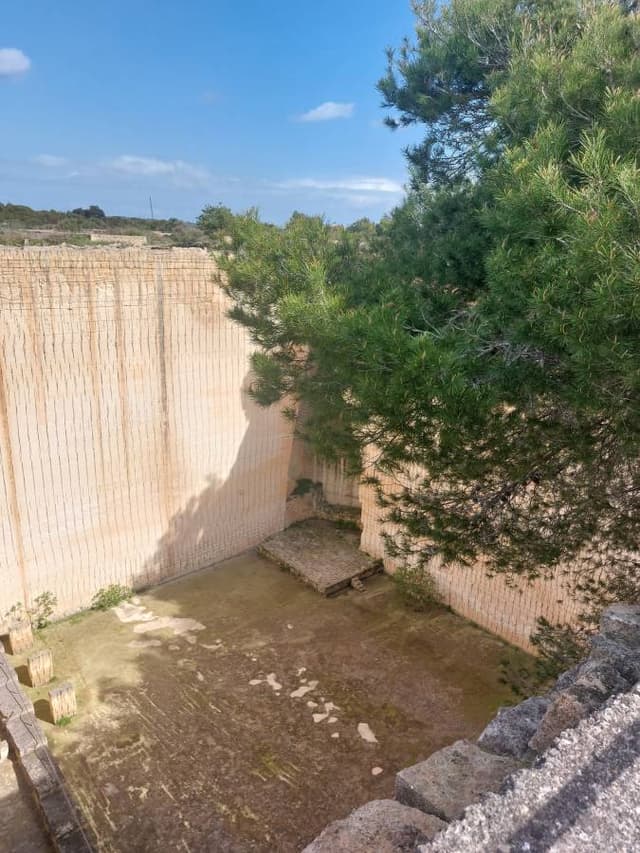 Foto 4 de Nazario S. (25/3/26)