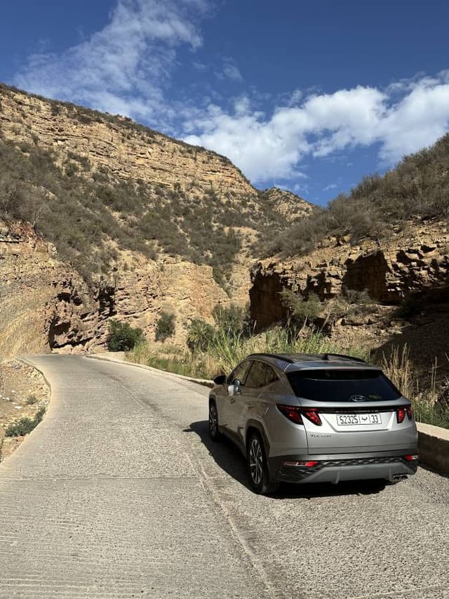 Zdjęcie 1 wykonane przez Bartek D. (24.11.24)