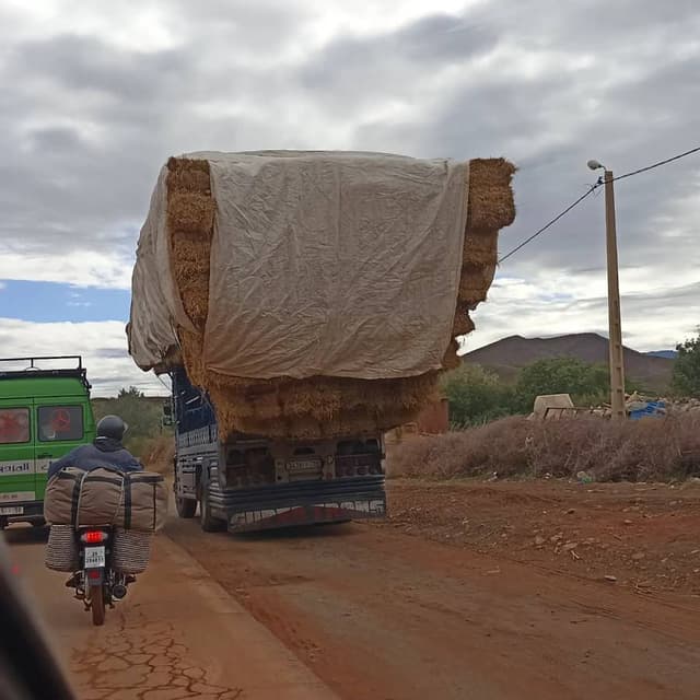 Foto 1 di Valerio G. sul noleggio di una Kia Picanto in Marocco (18/10/22)