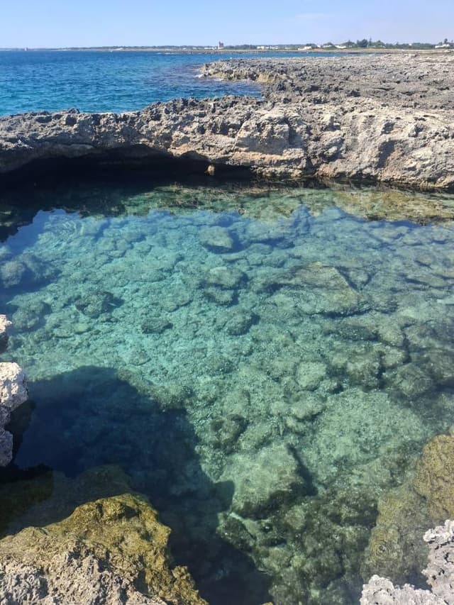 Foto 4 di Alessia Restituta F. (27/06/26)