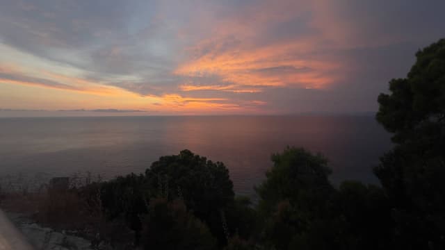 Photo 3 by Alexandru N. (7/6/26)