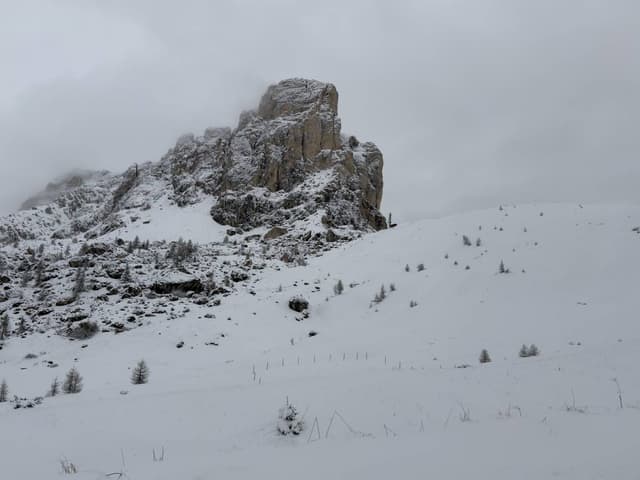 Photo 2 by Richard D. (5/20/26)