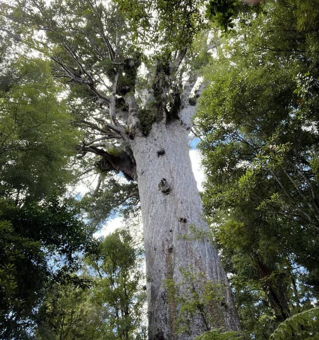 Foto 5 van Harry V. (10-3-26)