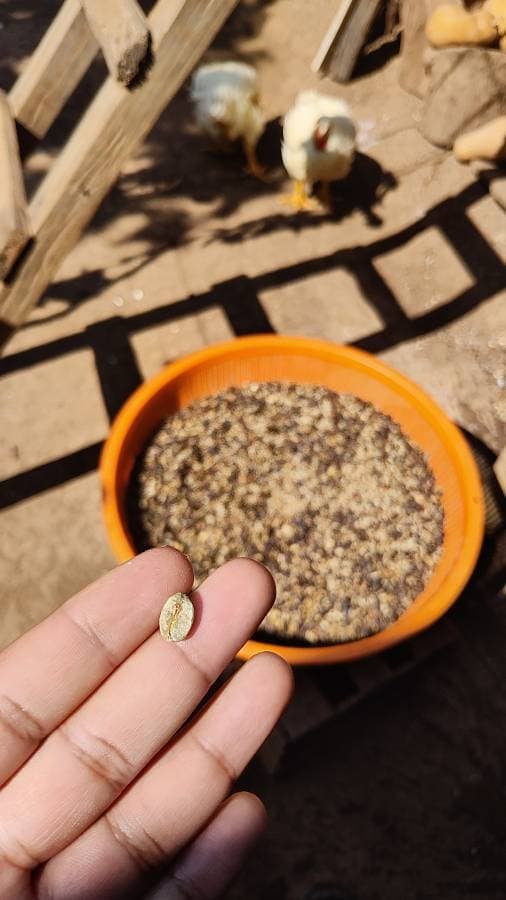 Foto 8 de Jose David R. (9/3/26)