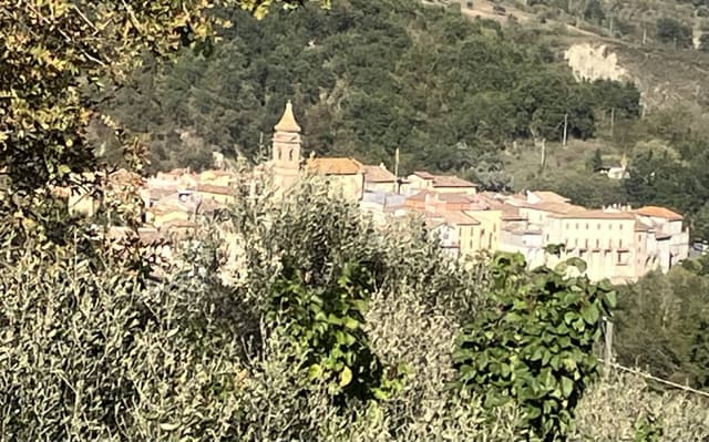 Photo 1 by Carlotta C. (4/6/24)