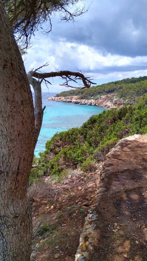 Photo by Kenneth N. about renting a Fiat 500 at Son Bou (6/15/23)