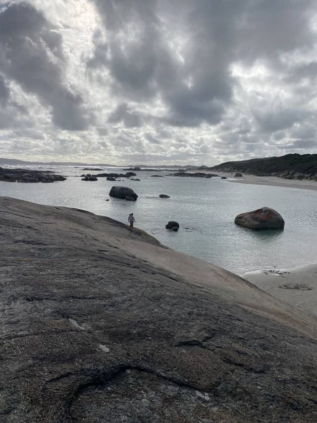 Photo 1 by Andrew M. (11/2/25)