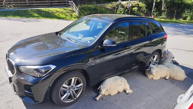 Photo by bence F. about renting a Volkswagen ID.3 at Oslo Airport (8/15/24)