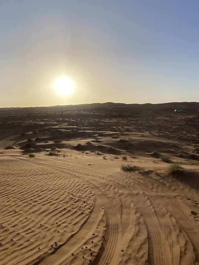 Photo 1 par Alain G. (20/11/25)