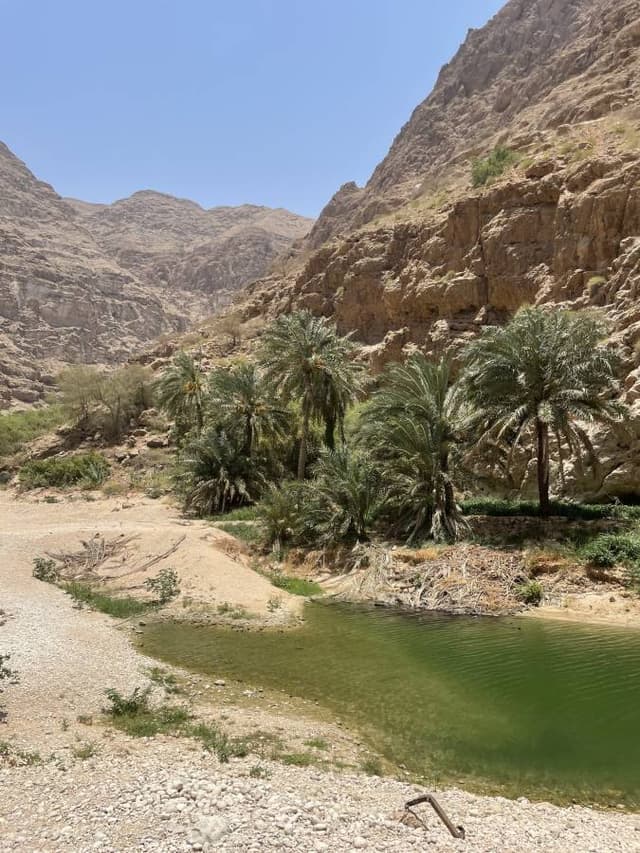 Photo by Tressy M. about renting a Toyota Yaris in Oman (6/2/25)