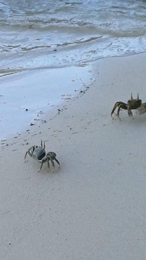 Foto 3 von Roland K. (3.4.26)