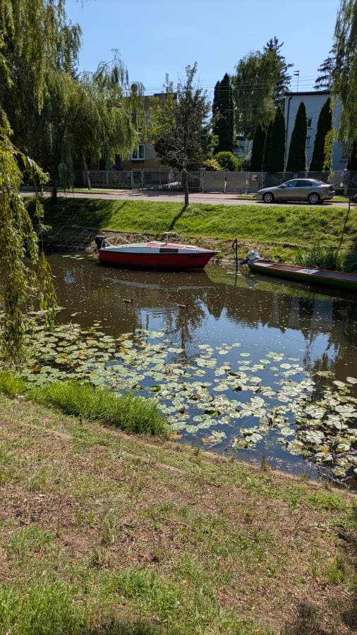 תמונה 1 מאת Osnat P. (21.8.25)