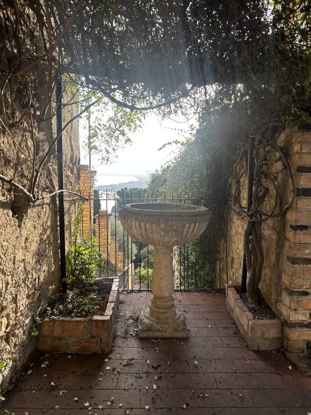 Foto 2 de SYLVIA LILIAN F. (21/11/25)