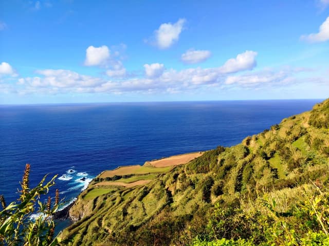 Zdjęcie 1 wykonane przez Piotr T. (29.11.25)