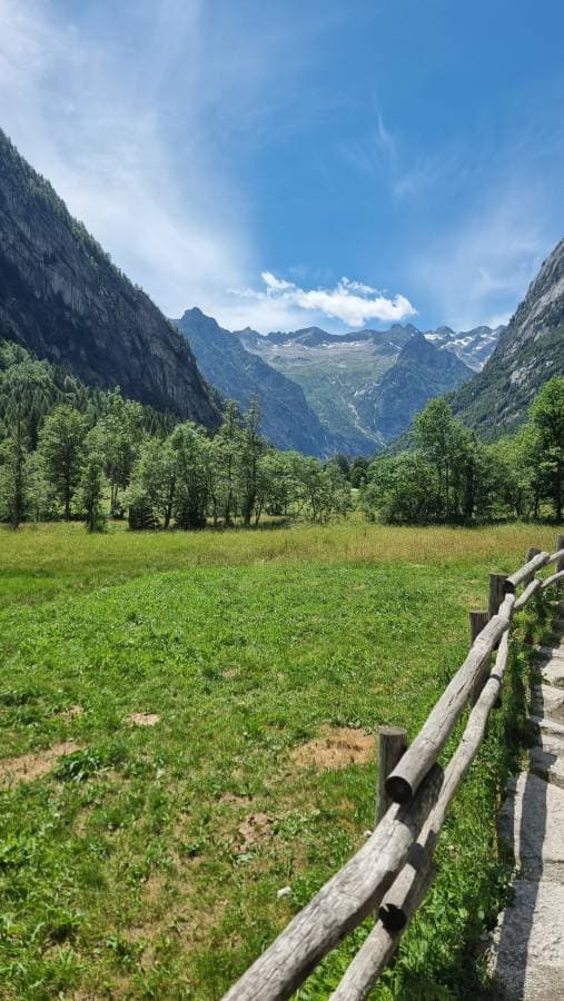 Zdjęcie 1 wykonane przez Arkadiusz Z. (1.07.25)