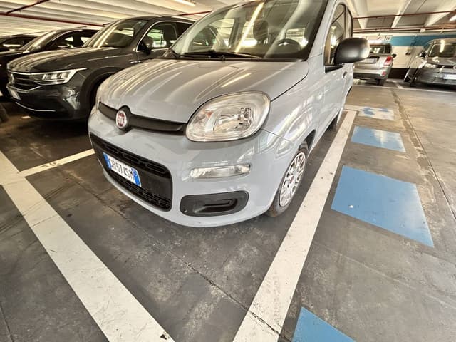 Photo 1 by Francis J. (6/11/25)