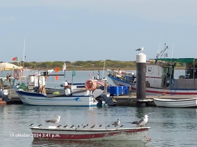 Foto 1 van Dirk S. (1-4-26)