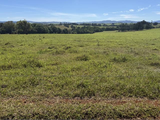 (25/11/24)のレンタルについて、Mansuke I. による写真 3