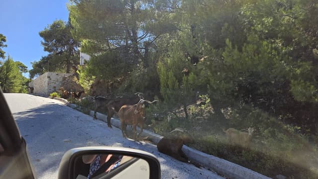 Zdjęcie 2 wykonane przez Marcin A. dotyczące wynajmu Suzuki Swift w na Lotnisku w Atenach dnia (23.07.24)