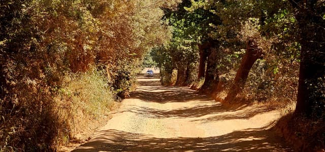 Foto 4 van Jelle J. (2-12-25)