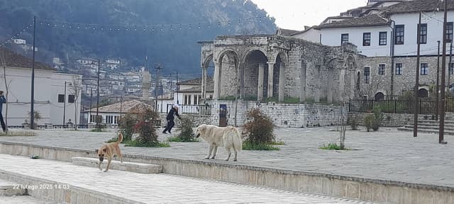 Zdjęcie 3 wykonane przez Marcin C. (27.02.25)