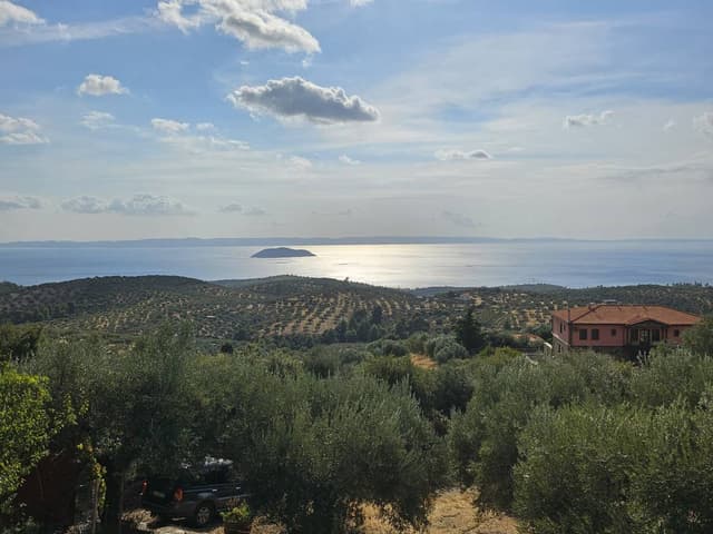 Photo 1 by Alexandra B. (10/2/25)