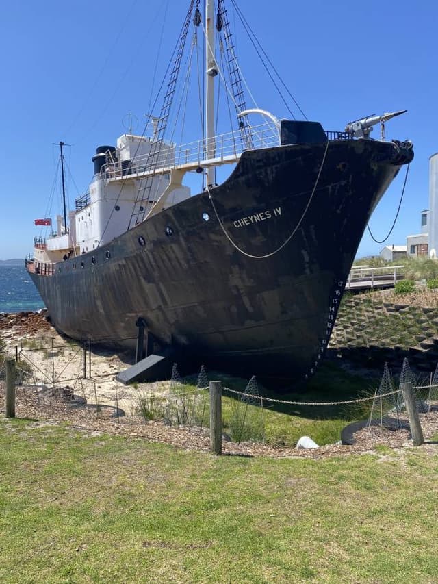 Photo 2 by Andrew M. (11/2/25)