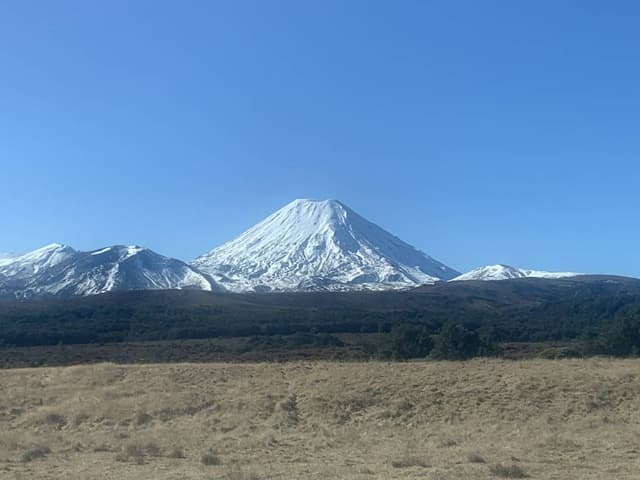 Photo 3 by Natasha D. (7/31/25)