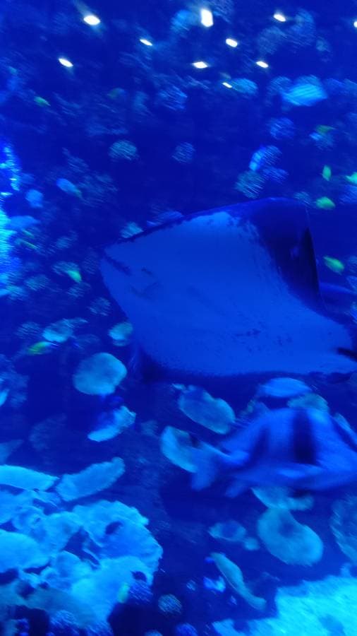 Фото 1 от dzmitry D. об аренде Ford Fiesta на Канарских островах (16.10.25)