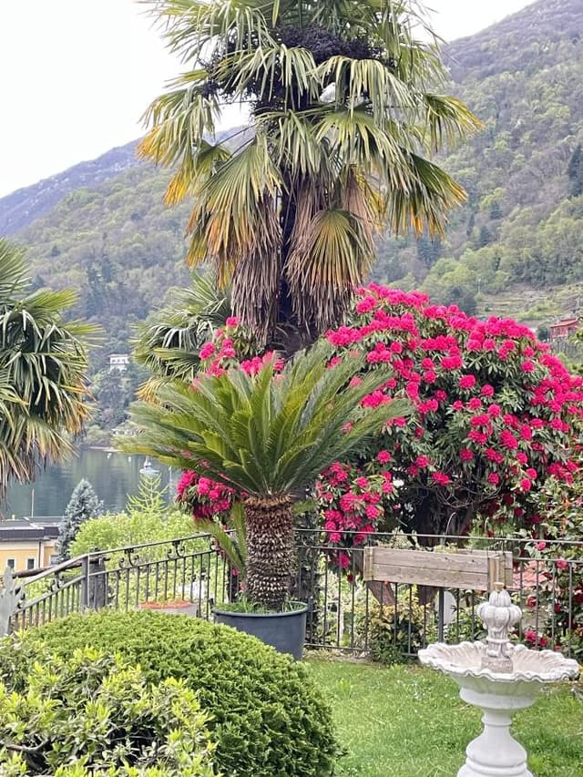 Foto 1 di Antonella F. sul noleggio di una Opel Corsa in Italia (24/05/25)