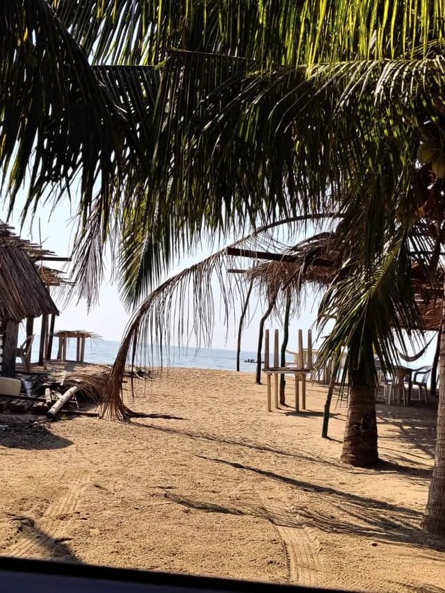 Foto 9 de Jose David R. (9/3/26)