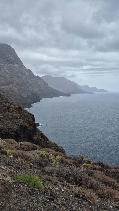 Photo by Bernhard N. about renting a Renault Megane in the Canary Islands (9/10/24)