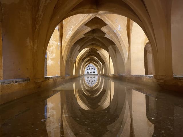 Foto 4 van Eric V. (1-4-25)