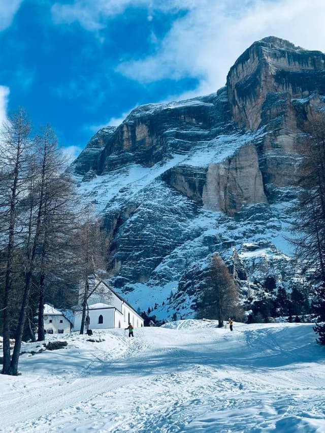 Photo by Romanas K. (2/22/26)