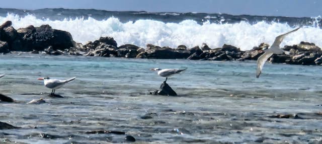 Photo 1 par rejean P. (04/03/26)