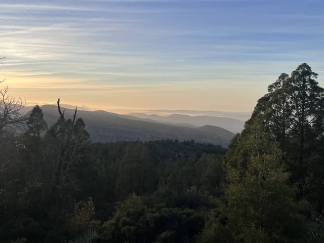 Photo 5 by Joanna K. (2/7/26)