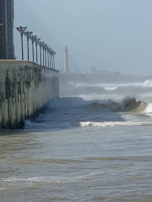 Zdjęcie wykonane przez Piotr Pawel U. (12.03.25)