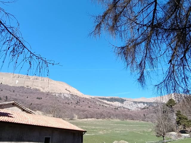 Foto di marcello maurizio M. (07/04/26)