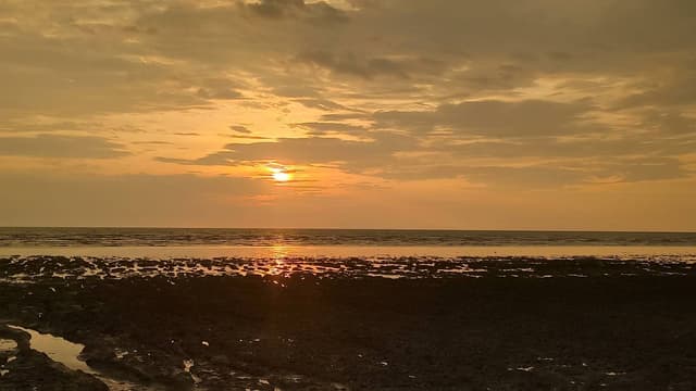 Photo 1 by CESAR M. (9/4/24)