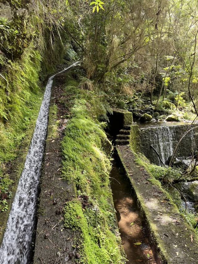 Photo 1 by Kenneth D. about renting a Opel Corsa Hatchback in Madeira (3/13/25)