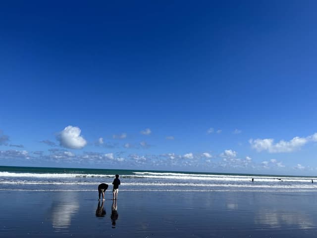 Jeeyoung K.의 사진 1 (25. 3. 12.)