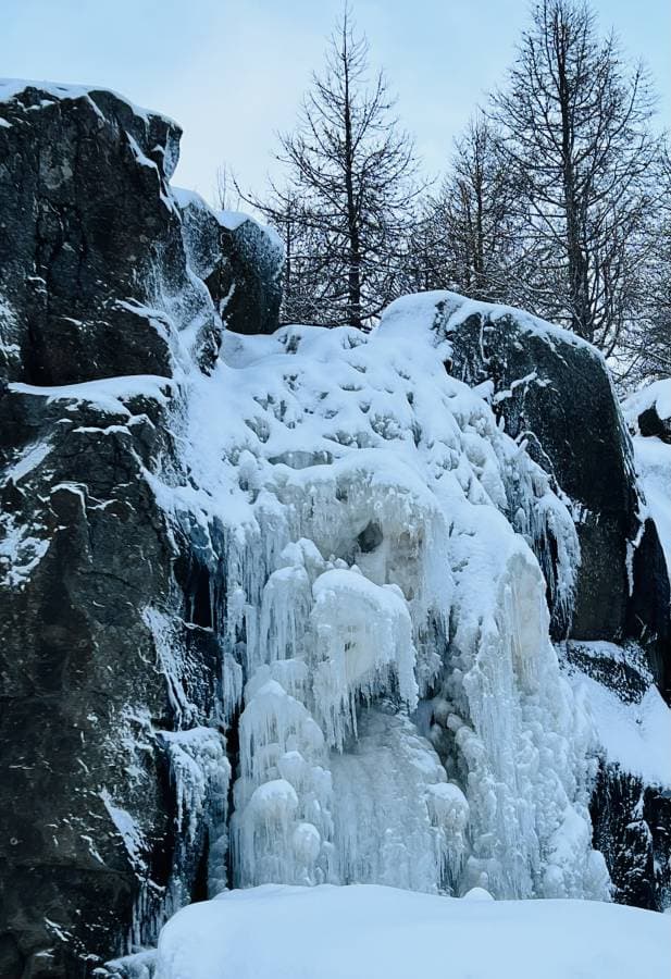 Foto 1 van Robin D. (11-1-24)