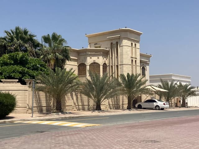 Photo 1 by Colin M. (4/11/23)